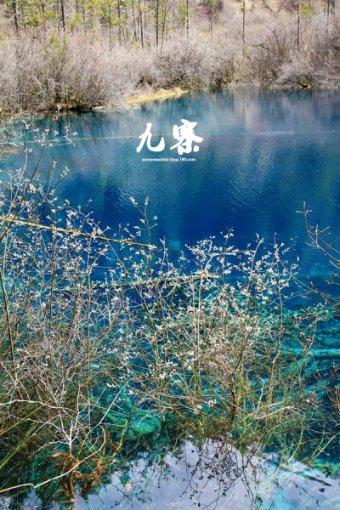 建元信托:连续三个交易日涨幅超过20%,无未披露重大信息