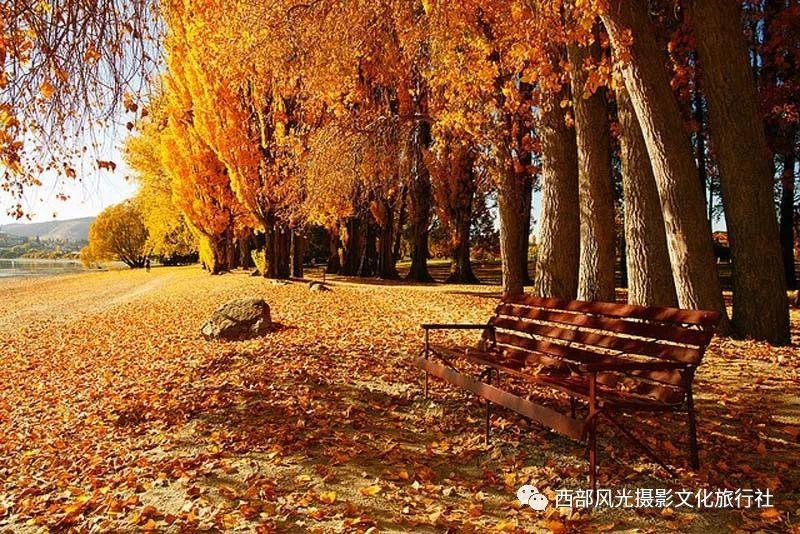 小镇惊魂