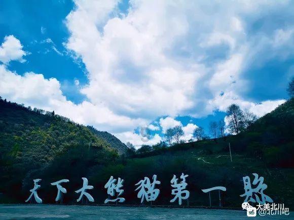 动物帮帮忙保卫家园