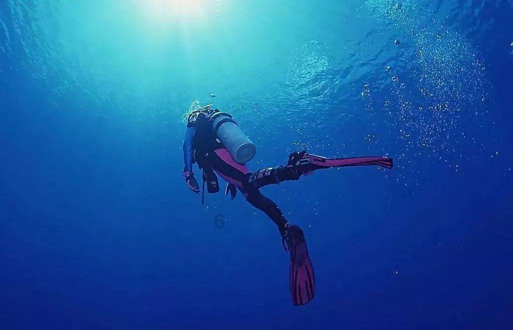 深海鱼救援