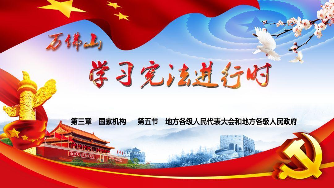 解救金刚鹦鹉