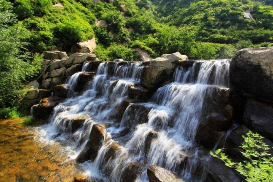 拯救小萌虎