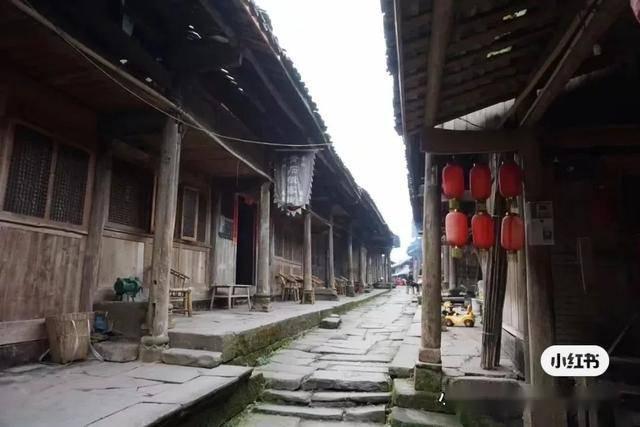 救援受困的长颈鹿