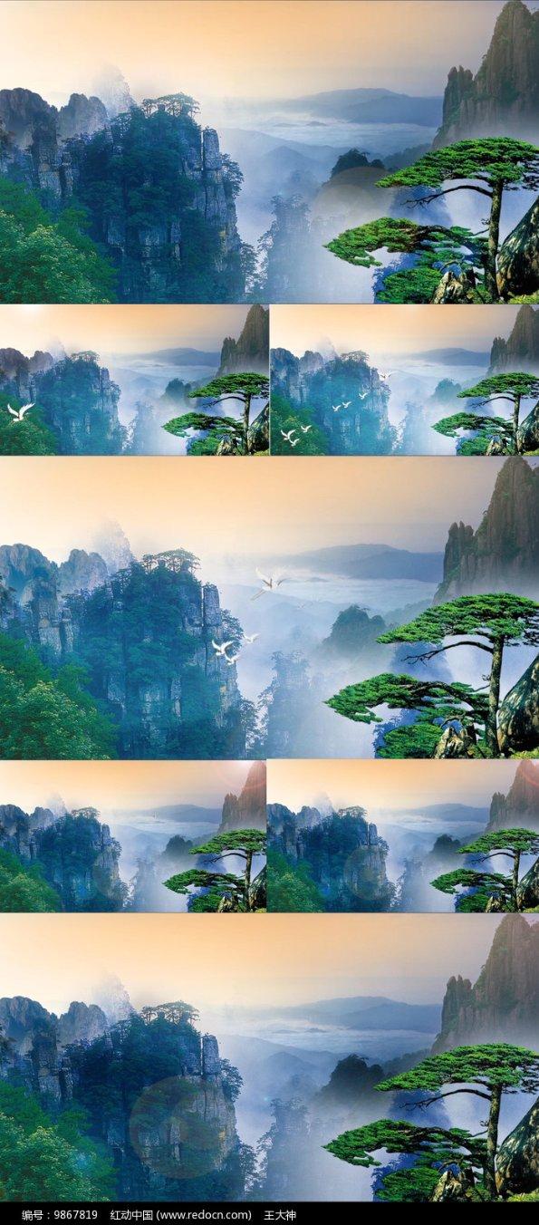 呆萌动物对对碰